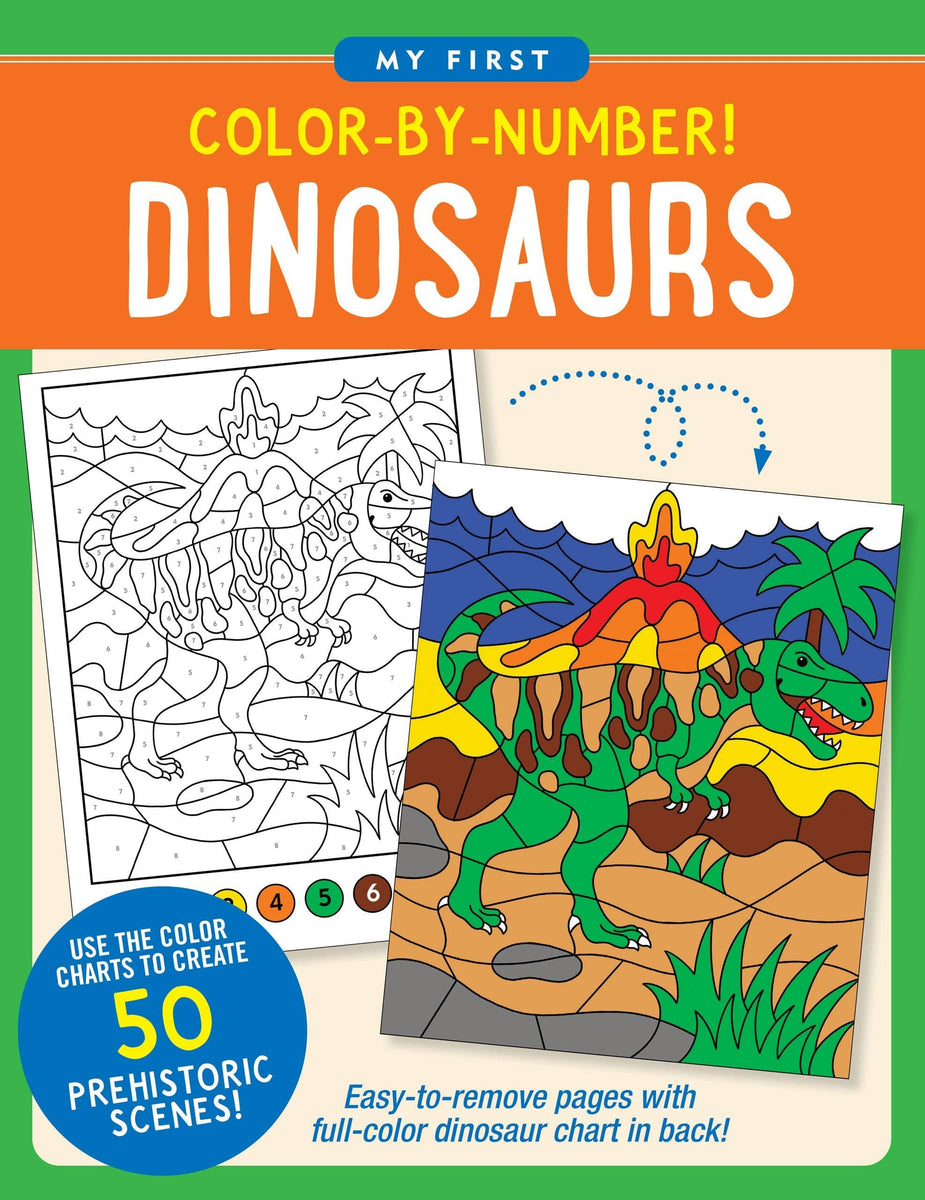 Easy and Fun Paint Magic with Water: Dinosaurs [Book]